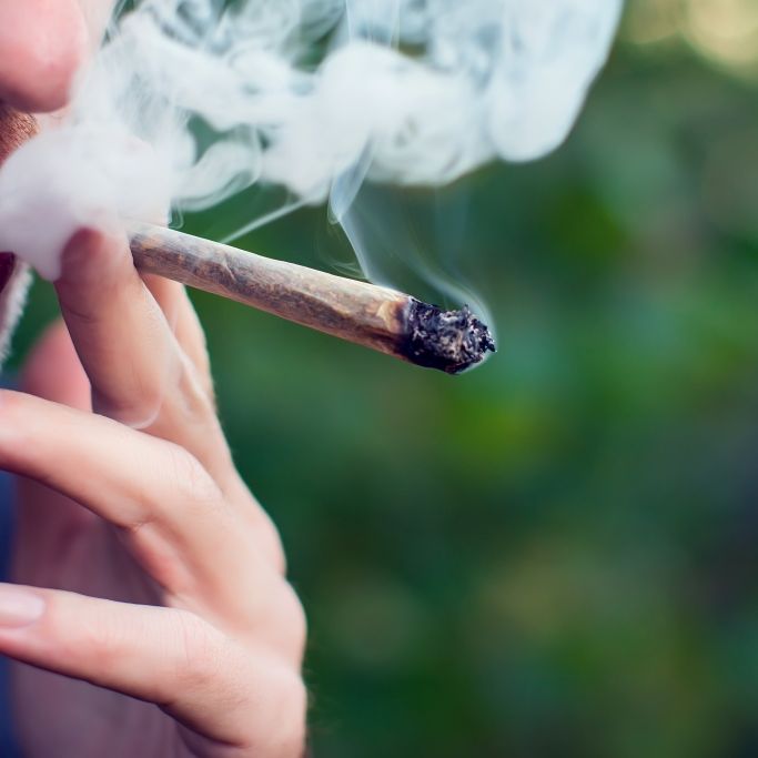 Cannabis als Covid-19-Wundermittel? Ärzte warnen vor Konsum