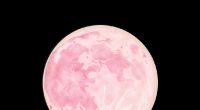 Im April leuchtet ein Pink Moon am Himmel.