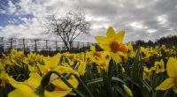 Das Wetter zu Ostern 2020 dürfte weniger sonnig ausfallen als zu Beginn April.