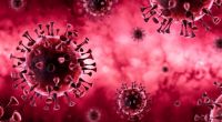 Eine neue Studie enthüllt: So gefährlich ist das Coronavirus für Patienten unter 65 Jahren wirklich.