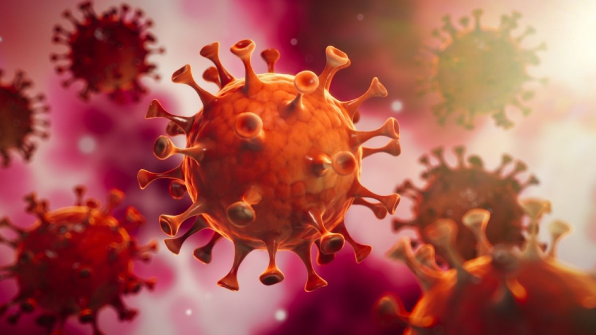 Können sich Menschen nach einer überstandenen Corona-Infektion wieder infizieren? (Symbolfoto) (Foto)