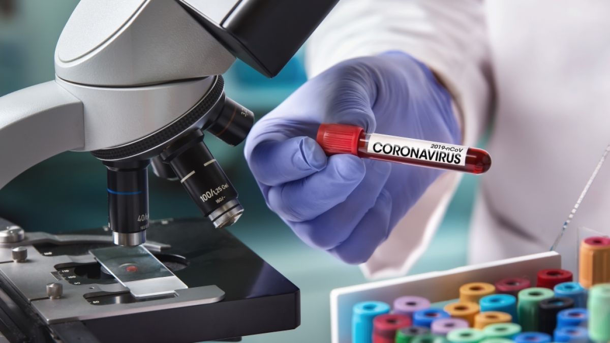 Coronavirus News Aktuell Impfstoff Im Herbst Uni Oxford Startet Test Am Menschen News De