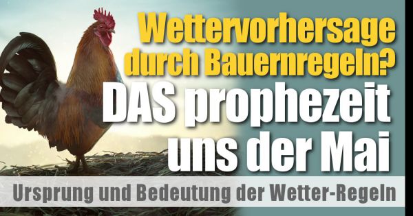Bauernregeln aktuell Mai 2021: Wettervorhersage durch ...