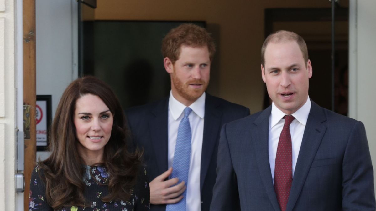 Kate Middleton, Prinz William und Prinz Harry in den Royal-News der Woche. (Foto)