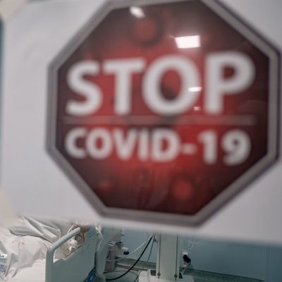 Test enthüllt: 1. Corona-Infektion in Europa bereits im Dezember Test enthüllt: 1. Corona-Infektion in Europa bereits im Dezember (Foto)