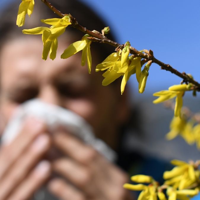 Coronavirus bei Asthma und Allergien? HIER gibt's am 20. Mai Expertenrat Coronavirus bei Asthma und Allergien? HIER gibt's am 20. Mai Expertenrat (Foto)