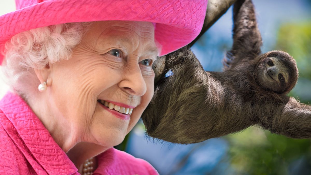Queen Elizabeth II. soll ein Faultier besitzen. (Foto)
