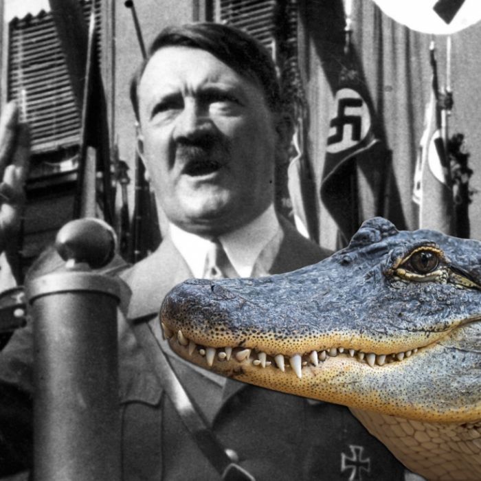 Im Krieg aus Berliner Zoo geflohen! Hitlers Alligator stirbt in Moskau