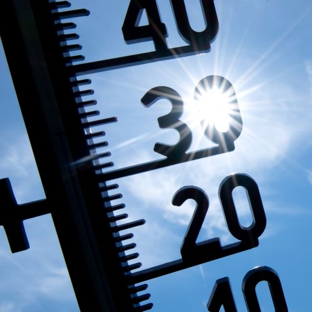 Mega-Hitze im Sommer 2020! So groß ist die Gefahr Mega-Hitze im Sommer 2020! So groß ist die Gefahr (Foto)
