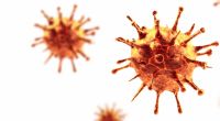 Könnte das Coronavirus innerhalb weniger Wochen mit einer anderen Testmethode ausgerottet werden?