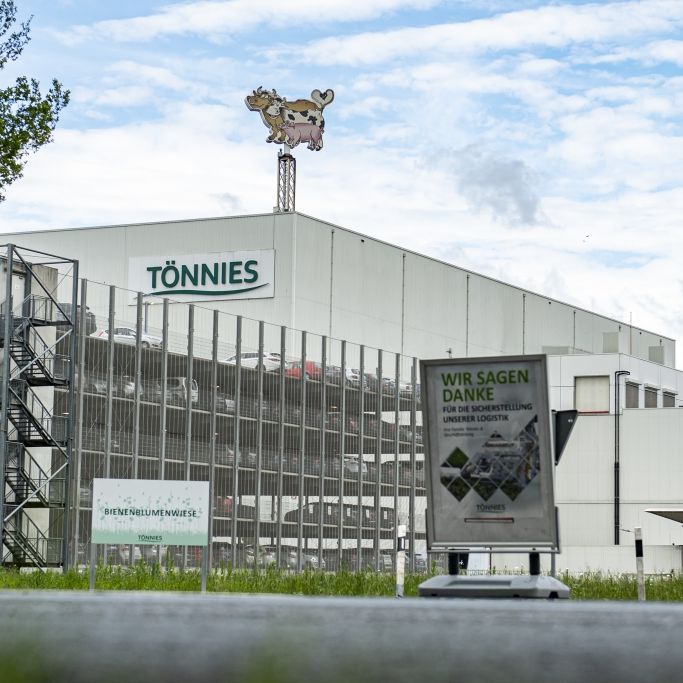 Nach Tönnies-Skandal! Wer haftet für die Schäden? Nach Tönnies-Skandal! Wer haftet für die Schäden? (Foto)