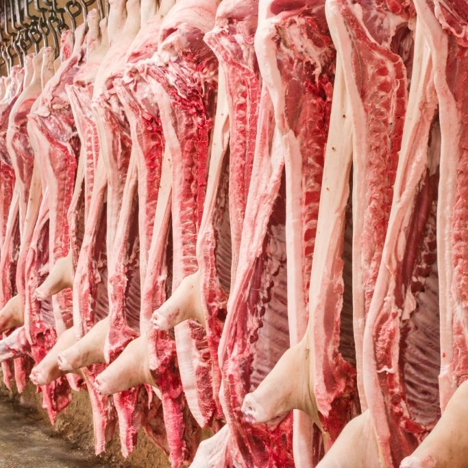 "Brandgefährliches Fleisch!" DAVOR warnt der Hygiene-Papst jetzt "Brandgefährliches Fleisch!" DAVOR warnt der Hygiene-Papst jetzt (Foto)