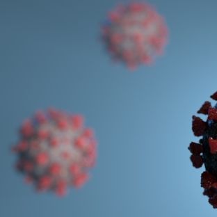Virologe alarmiert! Kommt es zu einer zweiten Corona-Welle? Virologe alarmiert! Kommt es zu einer zweiten Corona-Welle? (Foto)