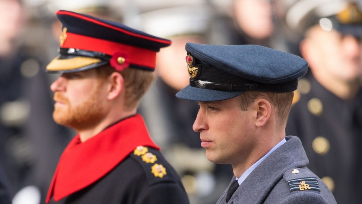 Warum herrscht zwischen Prinz William und Prinz Harry dicke Luft? (Foto)