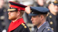 Warum herrscht zwischen Prinz William und Prinz Harry dicke Luft?