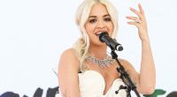 Rita Ora weiß sich nicht nur auf der Bühne, sondern auch bei Instagram sexy in Szene zu setzen - sehr zur Freude ihrer Fans.