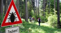 Zeckenexperten schlagen Alarm! Die gefährliche Tropenzecke Hyalomma breitet sich in Deutschland immer mehr aus.