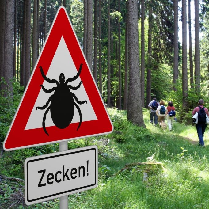 Zecken-Hölle Deutschland! HIER droht Gesundheitsgefahr