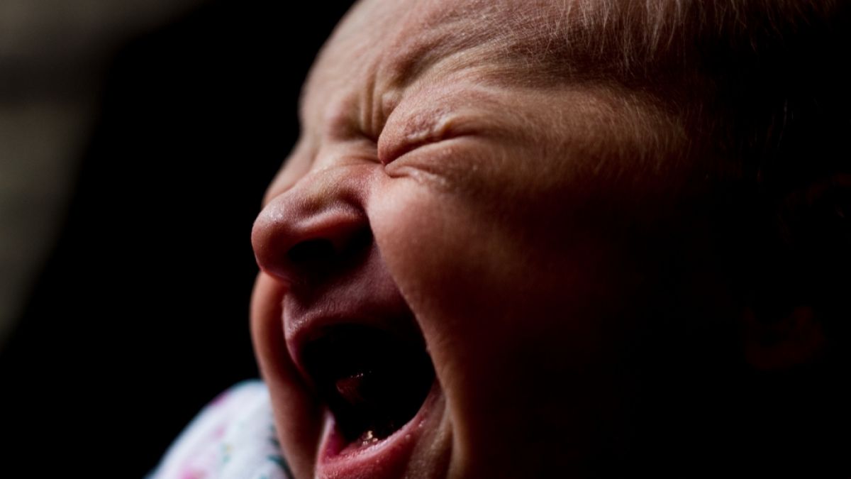 Ein Neugeborenes wurde in Indiana von einem Pitbull getötet. (Symbolfoto) (Foto)