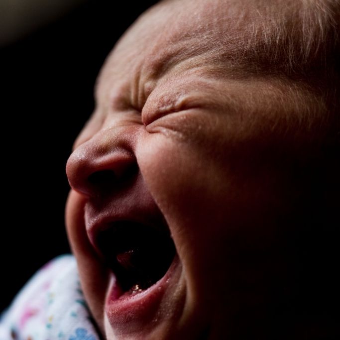 Pitbull zerfleischt 26 Tage altes Baby - tot