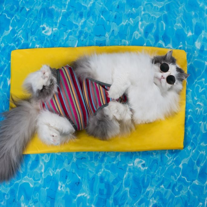 Bibber-Alarm statt Hundstage-Hitze? So trüb wird das Wetter im Sommer Bibber-Alarm statt Hundstage-Hitze? So trüb wird das Wetter im Sommer (Foto)