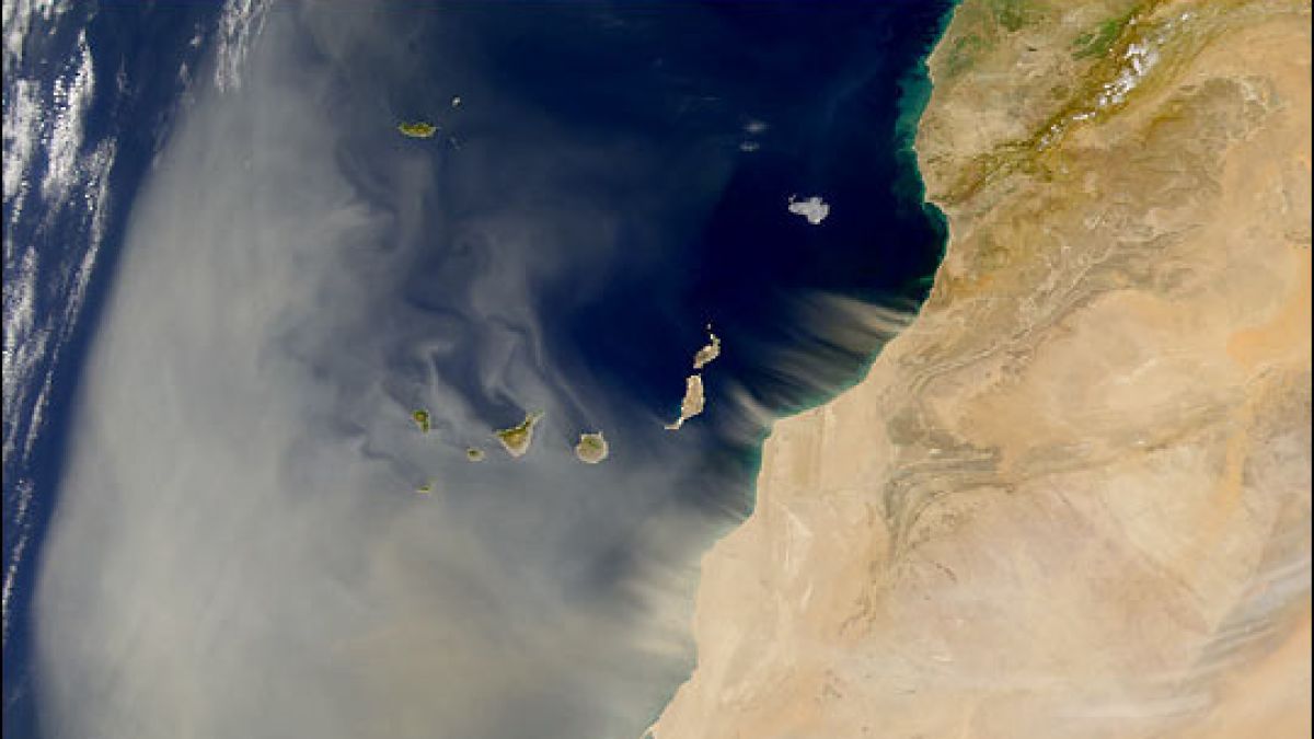Aus der Sahara: Eine riesige Staubwolke bewegt sich auf den Atlantik zu. (Foto)