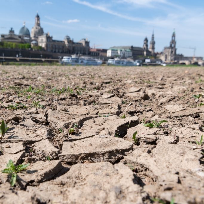 Viel zu trocken! Meteorologen warnen vor Dauer-Hitze Viel zu trocken! Meteorologen warnen vor Dauer-Hitze (Foto)