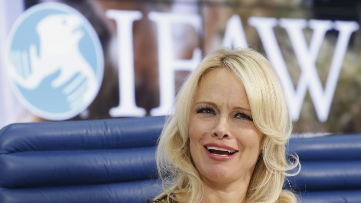 Pamela Anderson weiß genau, wie sie sich in Szene setzen muss. (Foto)