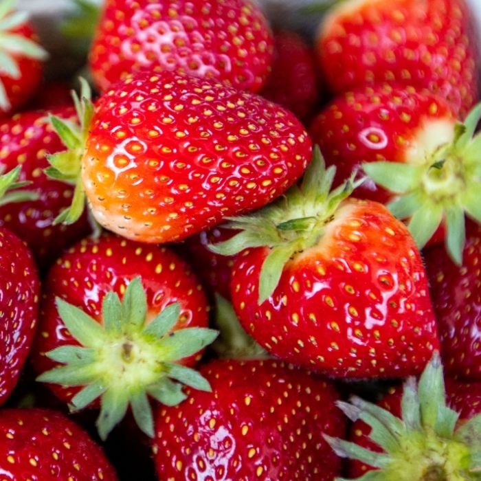 Lebensgefährlicher Genuss! Nadeln in Erdbeeren gefunden Lebensgefährlicher Genuss! Nadeln in Erdbeeren gefunden (Foto)