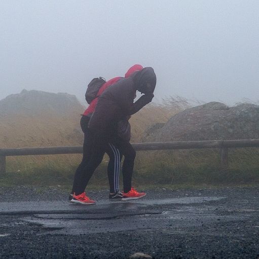 Nur 2 Grad! HIER startet die Woche mit Kälte, Sturm und Nebel Nur 2 Grad! HIER startet die Woche mit Kälte, Sturm und Nebel (Foto)