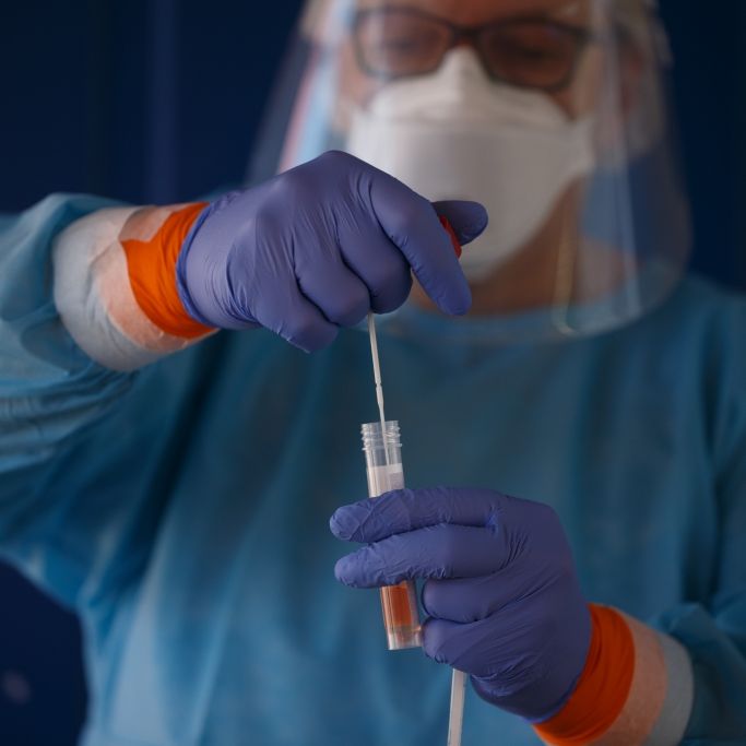 Mehr als 800 neue Infektionen - Experten warnen vor Test-Engpässen Mehr als 800 neue Infektionen - Experten warnen vor Test-Engpässen (Foto)