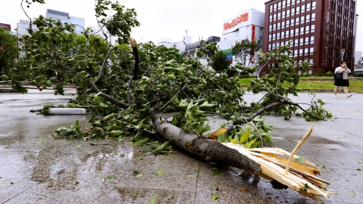 Taifun "Haishen" hat in Japan schwere Unwetter-Schäden verursacht und nimmt nun Kurs auf Südkorea. (Foto)