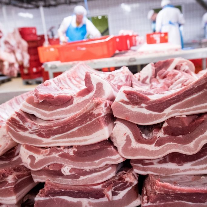 Hepatitis-E-Viren im Schweinefleisch! So gefährlich ist unser Essen Hepatitis-E-Viren im Schweinefleisch! So gefährlich ist unser Essen (Foto)