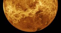 Könnte in der Atmosphäre der Venus Leben entstehen oder existieren?