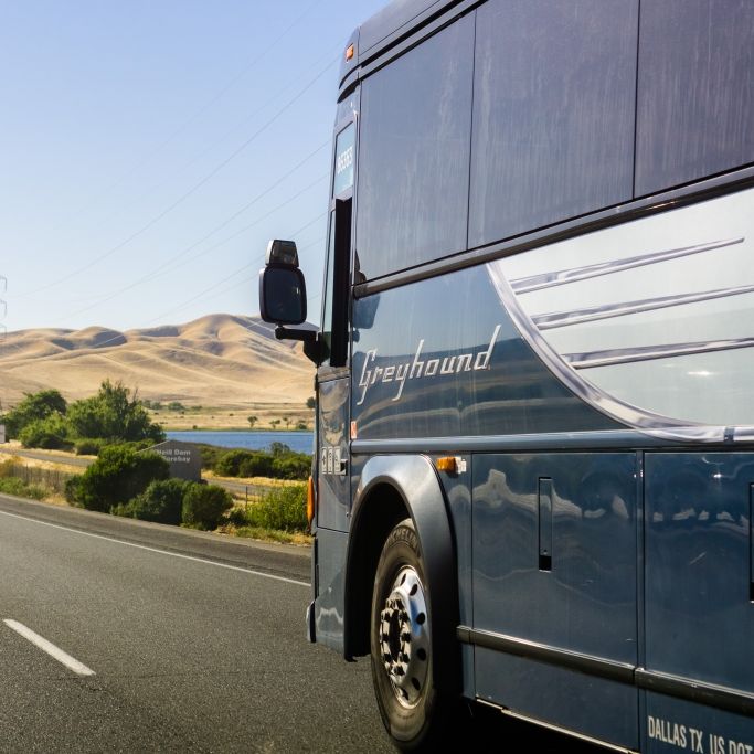 Fernbus-Passagier reist mit zerstückelter Leiche im Koffer Fernbus-Passagier reist mit zerstückelter Leiche im Koffer (Foto)
