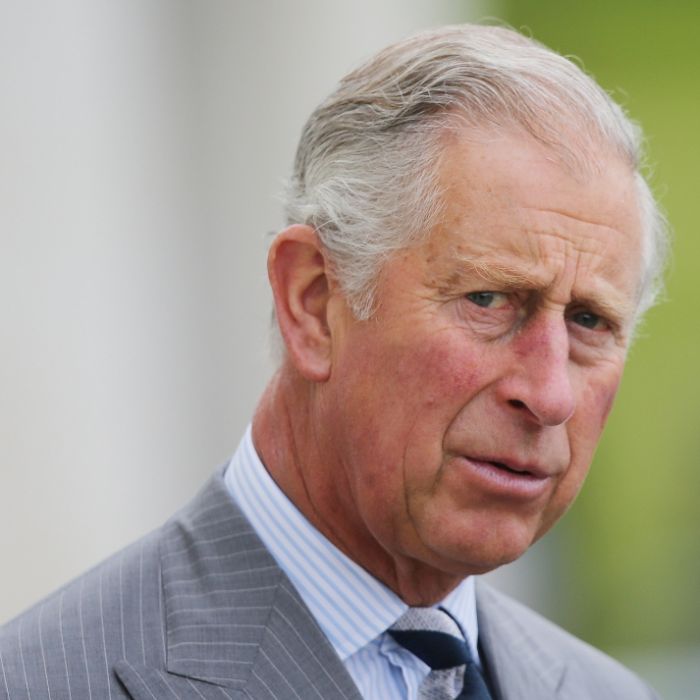 Royals-Experte sicher: Prinz Charles läutet das Ende der Monarchie ein (Foto)