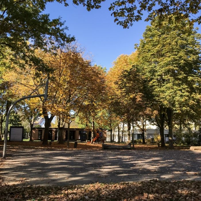 Mädchen (6) in Schule von Baum erschlagen - tot! Mädchen (6) in Schule von Baum erschlagen - tot! (Foto)