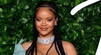 Rihanna verzückt die Fans im Netz wieder einmal.