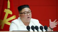 Kim Jong-un steckt Systemkritiker ins Konzentrationslager.