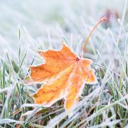 Wetterdienst warnt vor Luftfrost. Wetterdienst warnt vor Luftfrost.
