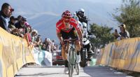 Der Slowene Primoz Roglic konnte sich 2019 als Sieger der Vuelta a Espana durchsetzen - wie wird sich der Radprofi vom Team Jumbo-Visna in diesem Jahr schlagen?
