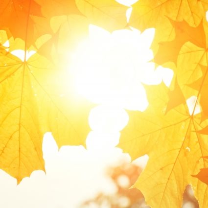 Warmluftblase rollt ran! HIER wird die 20-Grad-Marke geknackt Warmluftblase rollt ran! HIER wird die 20-Grad-Marke geknackt (Foto)