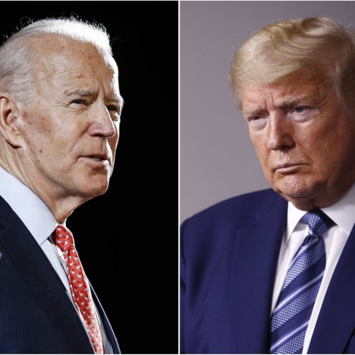Haben Donald Trumps Klagen gegen die Briefwahlstimmen eine Chance? Haben Donald Trumps Klagen gegen die Briefwahlstimmen eine Chance? (Foto)