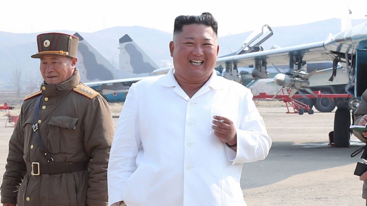 Will Kim Jong-un Delfine als schwimmende Soldaten einsetzen? (Foto)