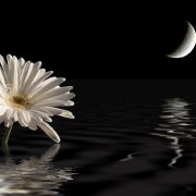 Am Wochenende wandert der Mond durch den exzentrischen Wassermann. Am Wochenende wandert der Mond durch den exzentrischen Wassermann.
