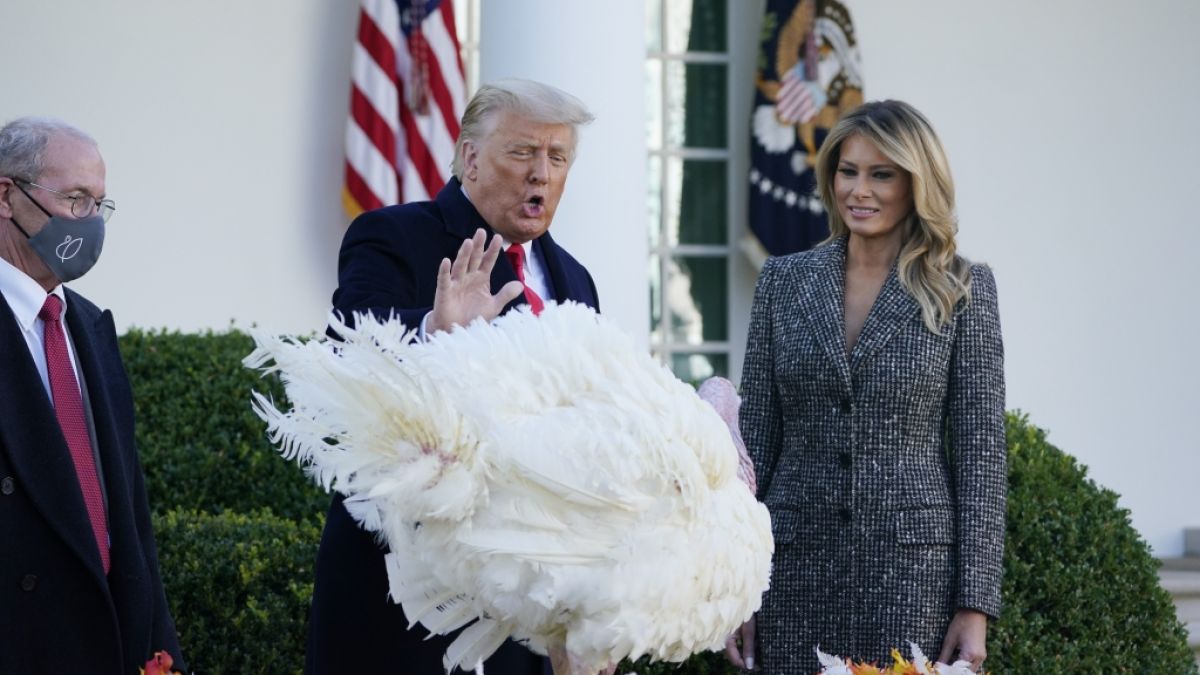 Donald Trump, Präsident der USA, steht neben First Lady Melania Trump, während er im Rosengarten des Weißen Hauses den Truthahn "Corn" (Mais) begnadigt. (Foto)