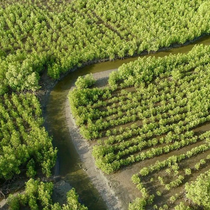 Wiederholung der Naturdoku im TV und online Wiederholung der Naturdoku im TV und online (Foto)