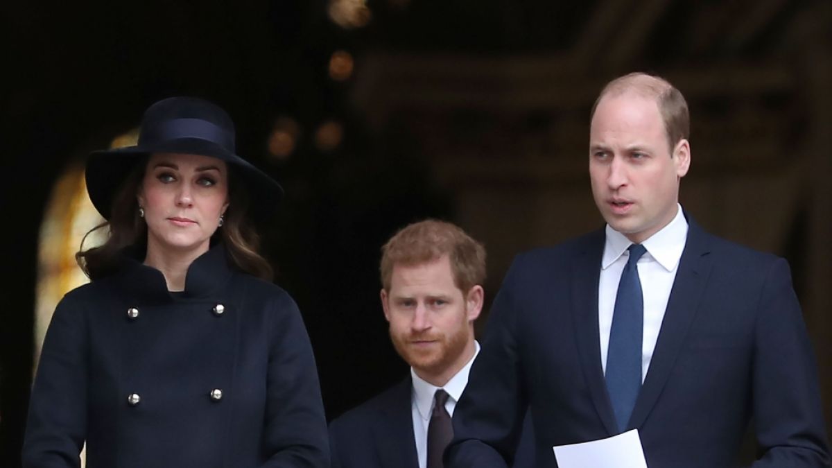 Kate Middleton, Prinz Harry und Prinz William in den Royal-News. (Foto)