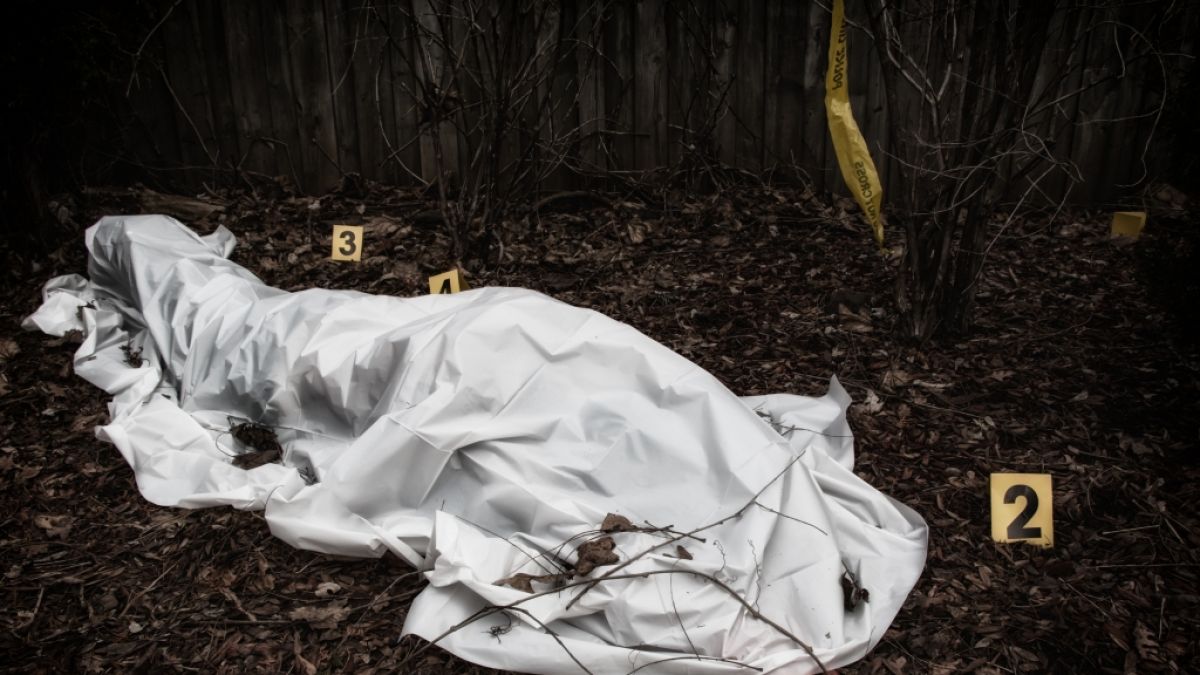 Ein Jugendlicher hat seinen Liebhaber in einem Wald erschlagen. (Symbolfoto) (Foto)