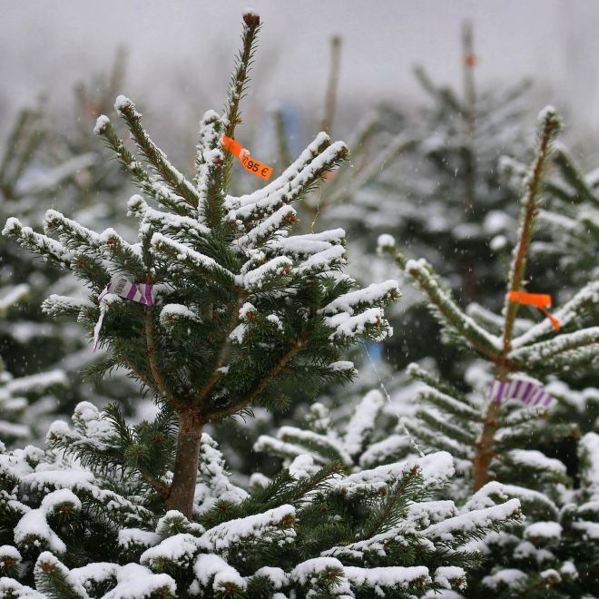 Wetter-Prognose steht! HIER droht Schneebombe zum Fest Wetter-Prognose steht! HIER droht Schneebombe zum Fest (Foto)